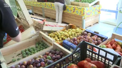 Vente directe : comment les producteurs s'organisent