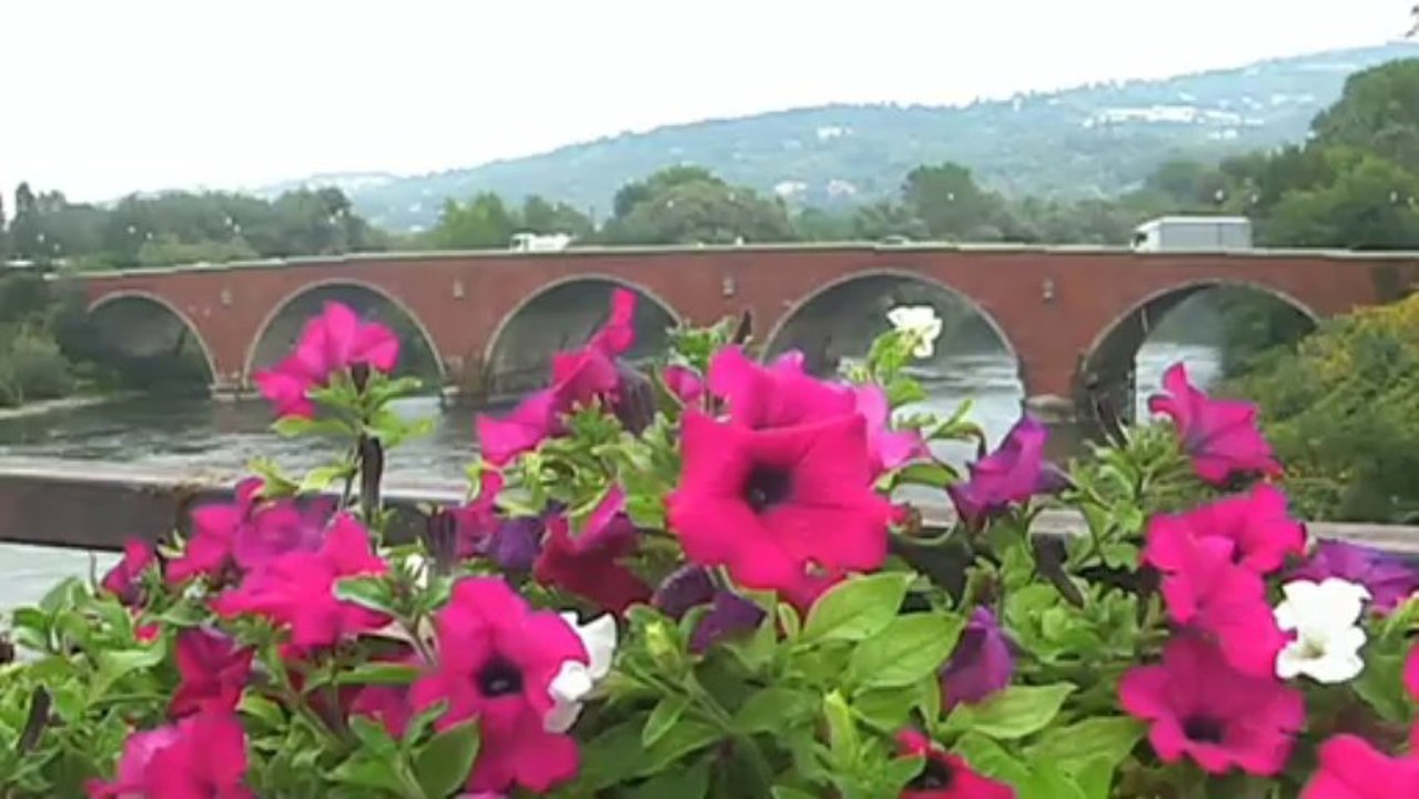 Moncalieri - Il  Borgo -Turin