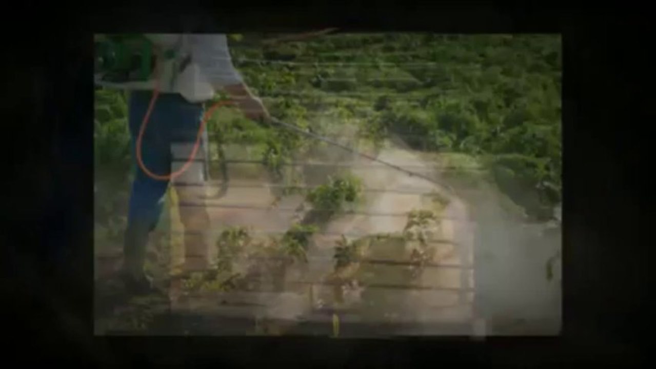 Bugeaters Pest Control LLC (402) 200-3011