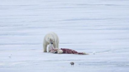 Les photos de la semaine par Le Figaro Magazine