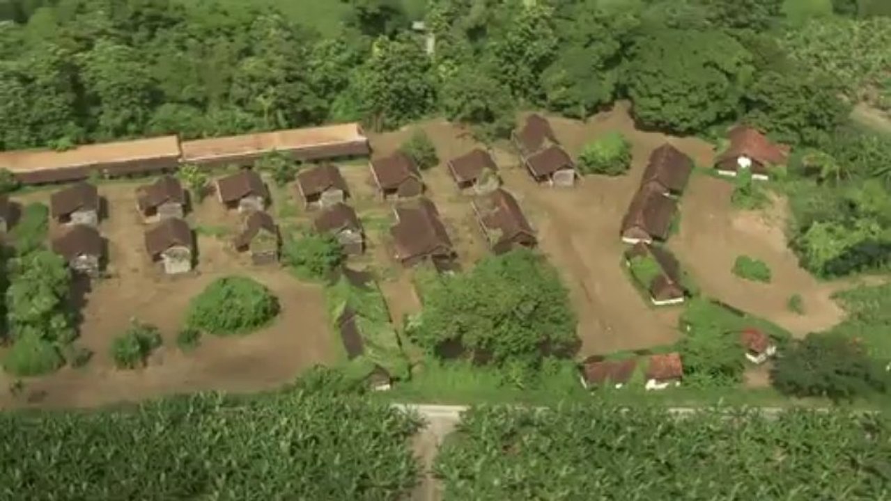 Ville de Basse-Pointe : Plantation Leyritz