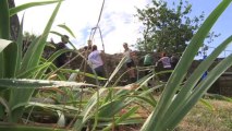 Saint-Lézin : 10e chantier international pour l'association Un Pas de Côté