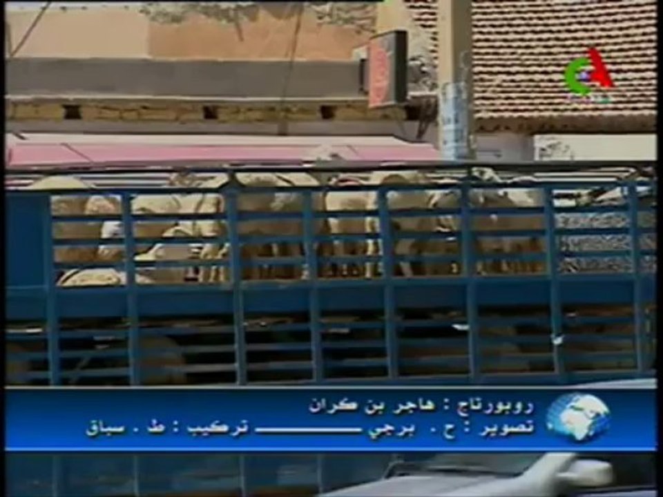 Réalisation  complexe Régional des viandes rouges à Hassi Bahbah (Djelfa)لحم الاحمر