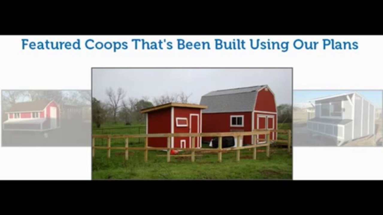 Chicken Coop Guide Review   ckbproductsreviews com