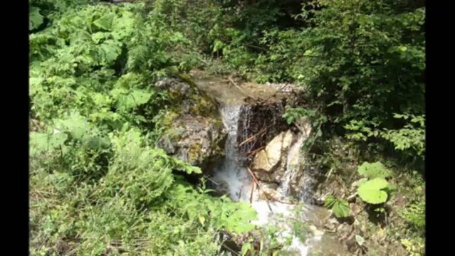 Sali dhe Feriz Krasniqi - Qohu Rexho qohu djalo