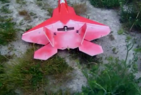 Downsview Park - Viper's RCPowers F22 V2 Raptor Flight 20120624.