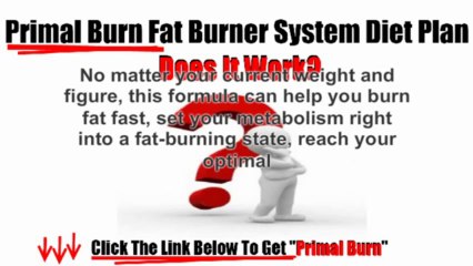Primal Burn - Fat Burner System Diet Plan Review - Does It Work?