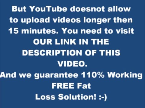 fat loss 4 idiots meal plan free