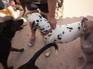 Doline au refuge saint roch le 03/10/2013 n° 1