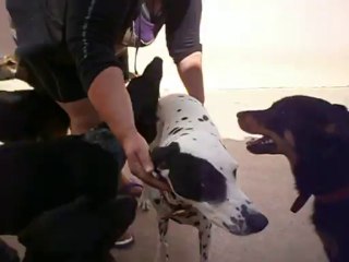 Doline au refuge saint roch le 03/10/2013 n° 2