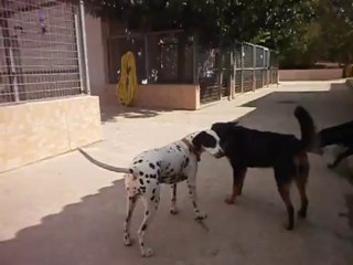 Doline au refuge saint roch le 03/10/2013 n° 3