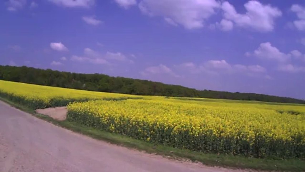 Calmato Sport 40 --- Son dernier vol