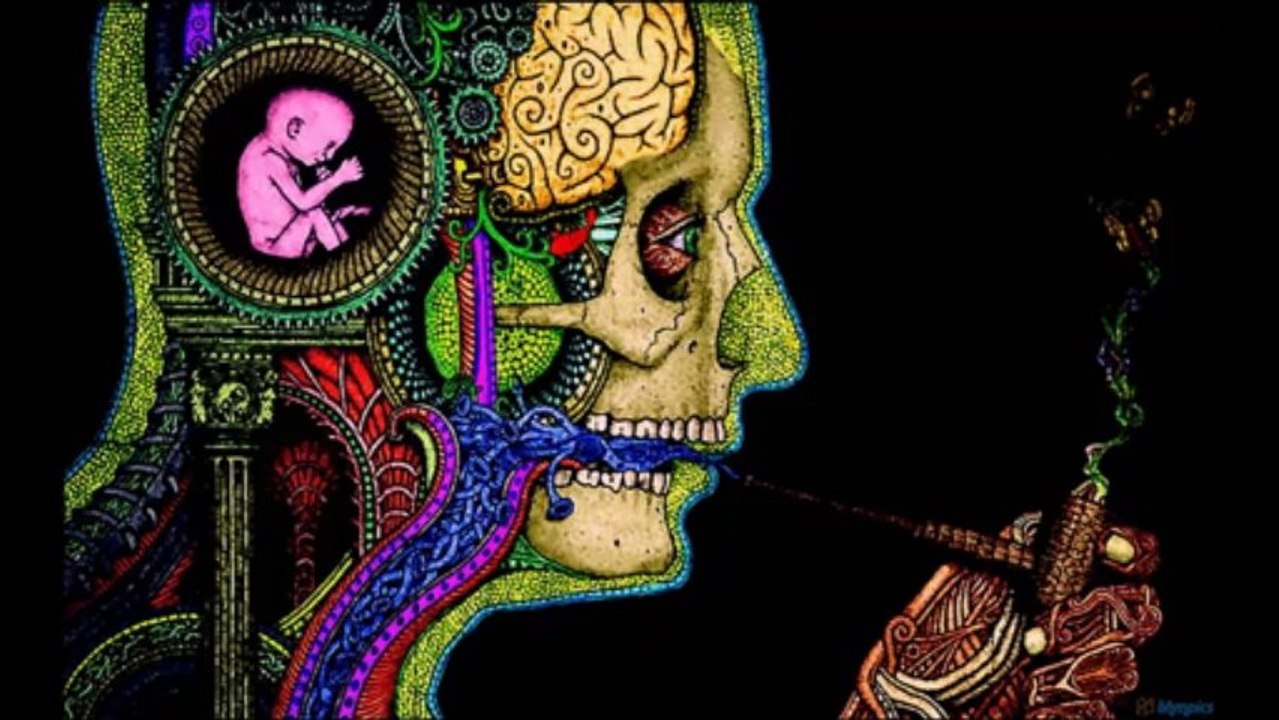 Veine Ohm - MTC