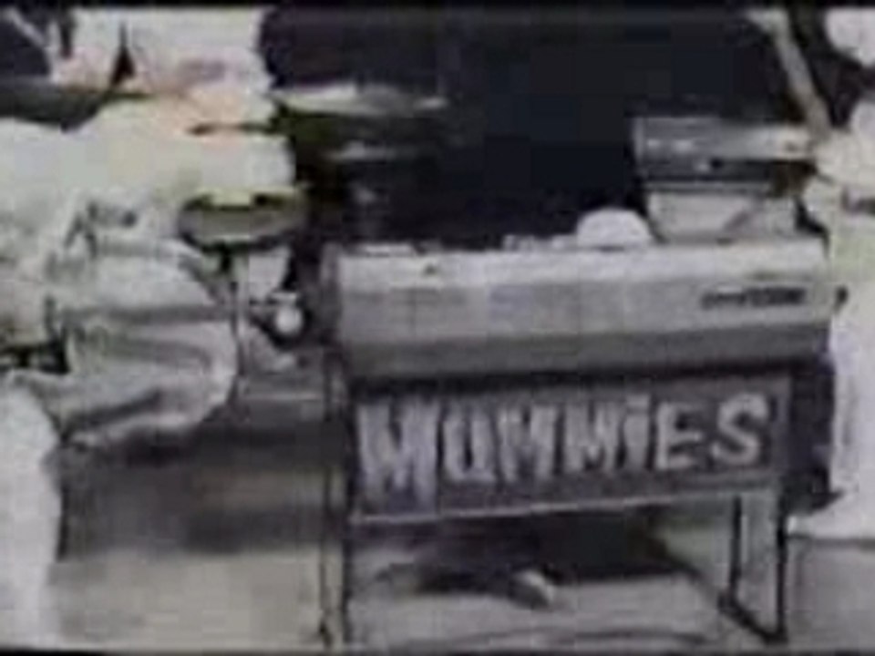 The Mummies The Fly