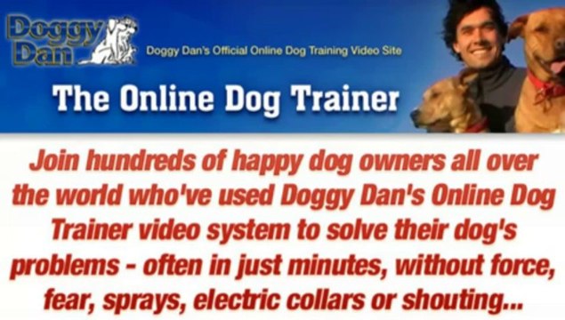 Dallas Dog Training - The Online Dog Trainer