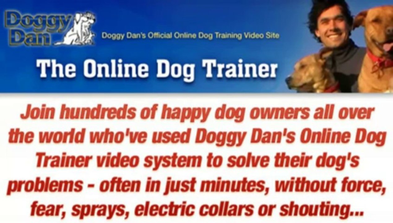 Dallas Dog Training - The Online Dog Trainer
