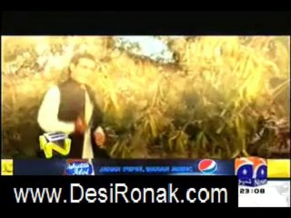 Banana News Network – 03