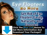 Eye Floaters No More Pdf   No More Eye Floaters