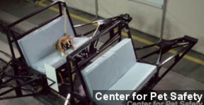 Pet Seat Belts Tested in Future Subaru Vehicles