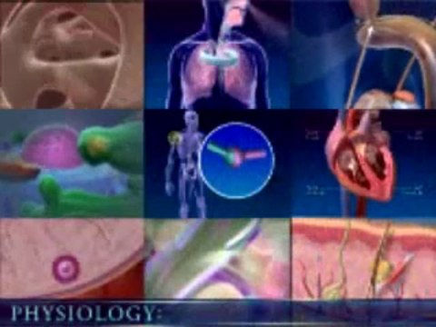 Visible Body: Human Anatomy Atlas