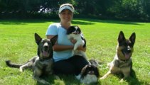 Basic Dog Obedience Training - The Online Dog Trainer