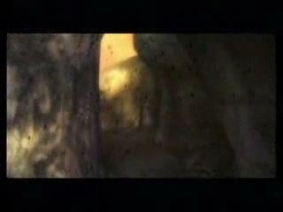 Zelda TP - Clips of gameplay