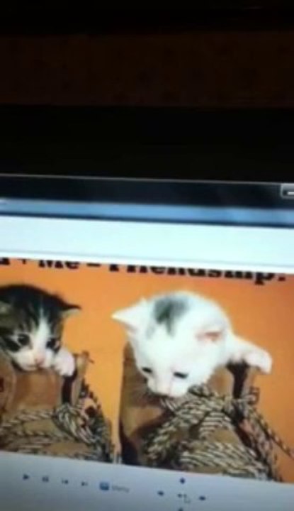 Bette And I Part 2 ( What Might Have Been )