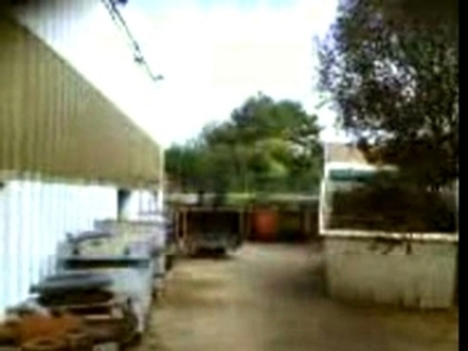 transpal
