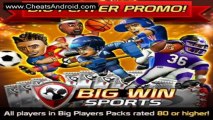 Big Win Football Hack 2013 ! Working version 100% Free Download !