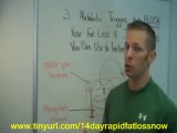 14 Day Rapid Fat Loss Plan Download / 14 Day Rapid Fat Loss Plan Download Now By Shaun Hadsall