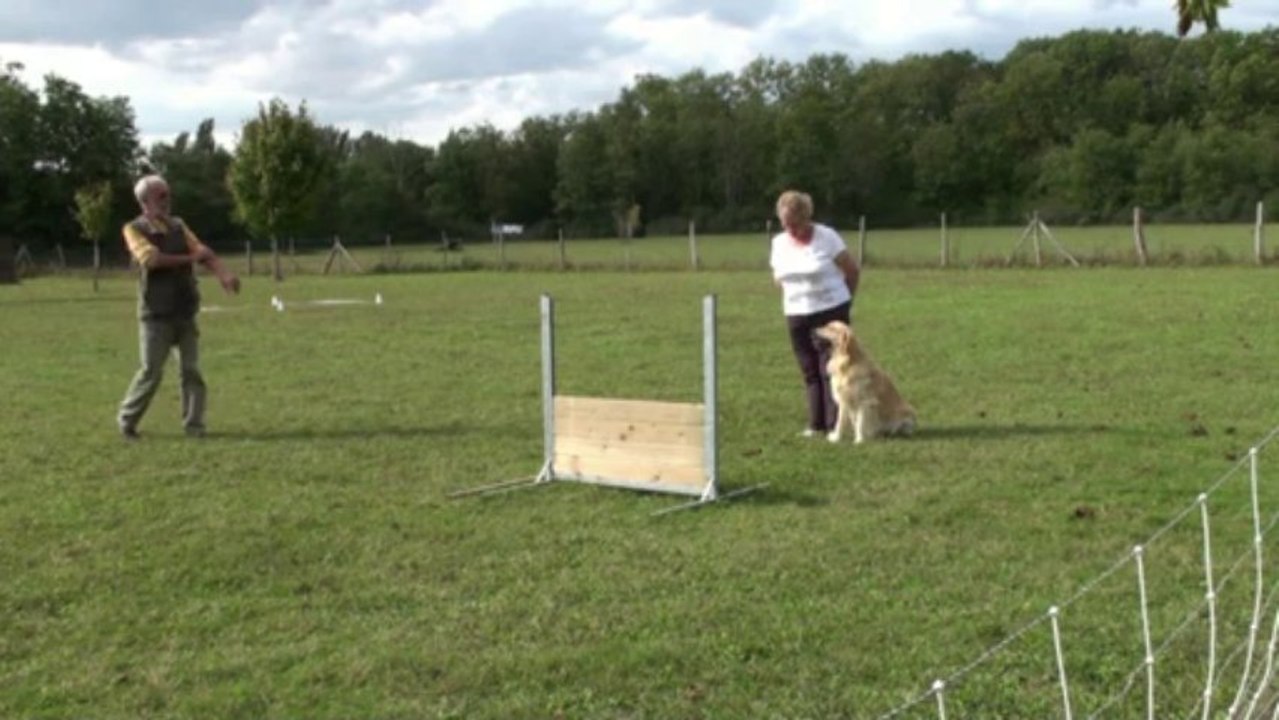 Half à l'entrainement