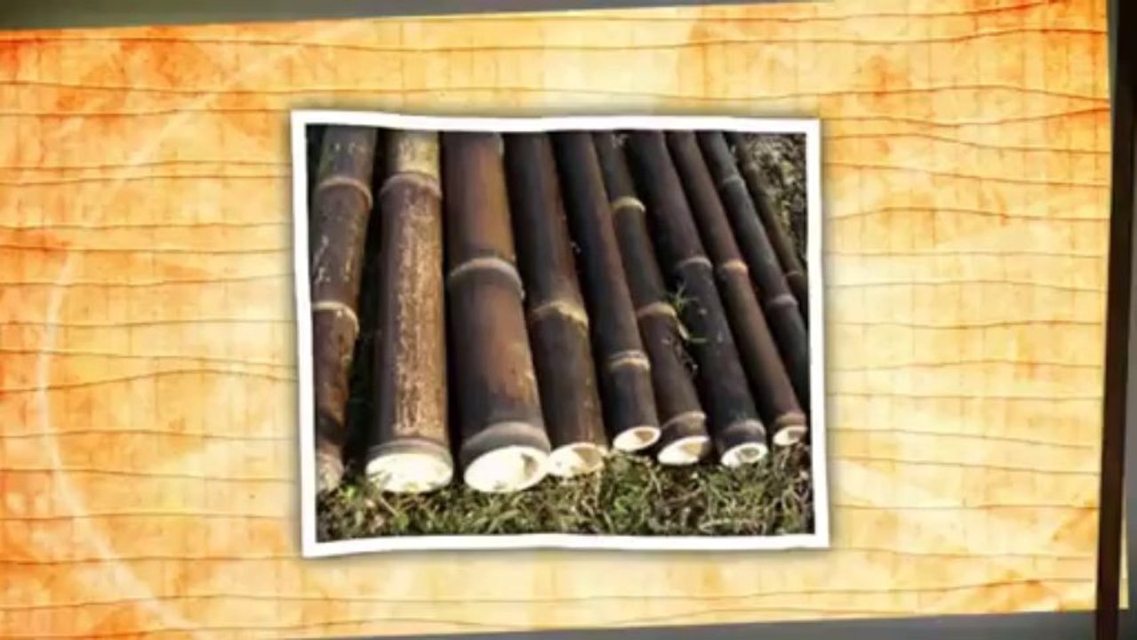Bamboo Poles San Diego - Bamboo Poles California - Bamboo Poles Los Angeles