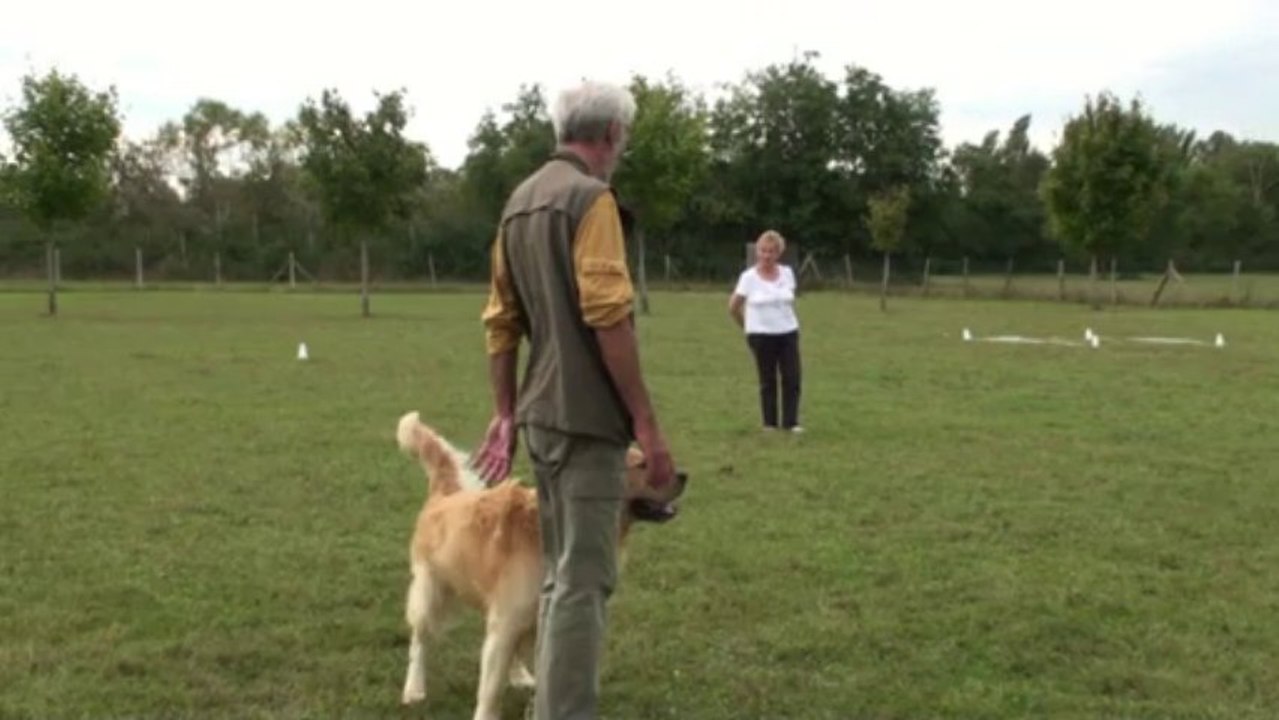 Eclair à l'entarinement