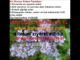 Arı otu tohumu,fazelya,arıotu tohumu,arı-otu-tohumu