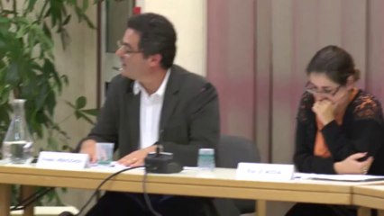 08 parcelles ZO 95 et ZO 98