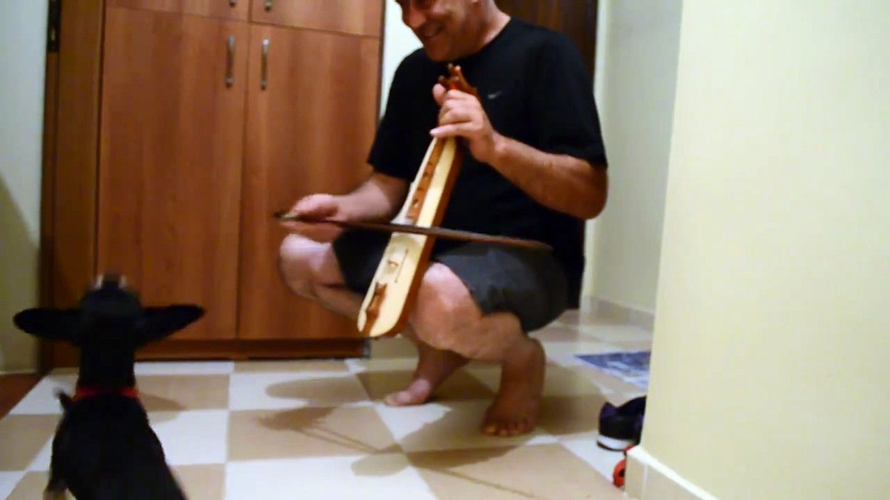 Horon Tepen Köpekcik