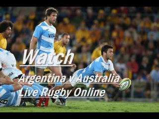 Watch Rugby Australia vs Argentina Online