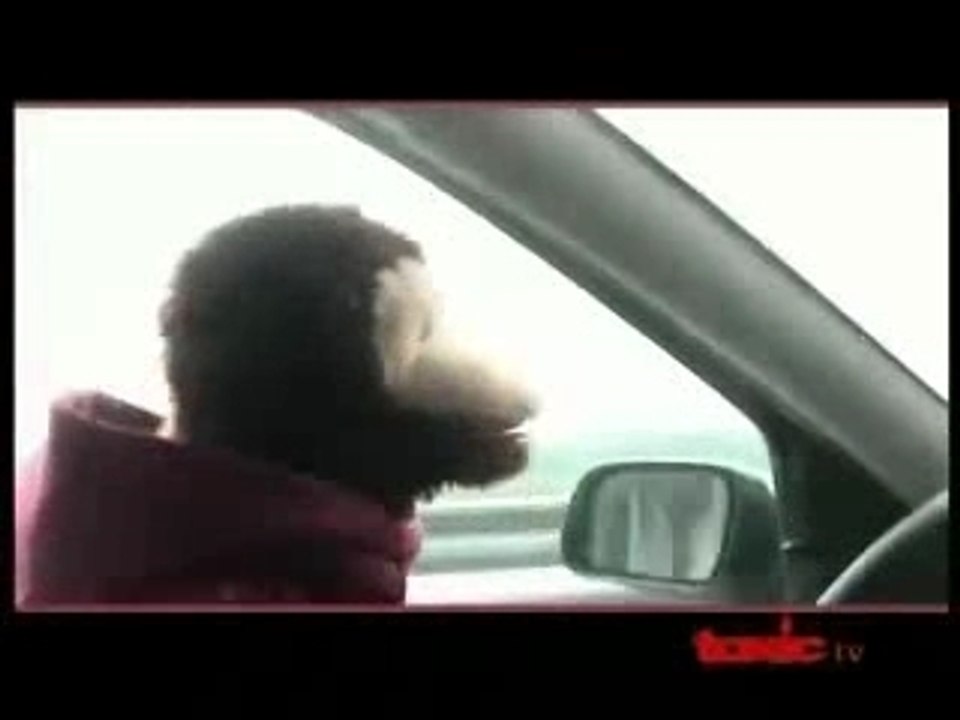 les aventures de mozefok - 6eme partie