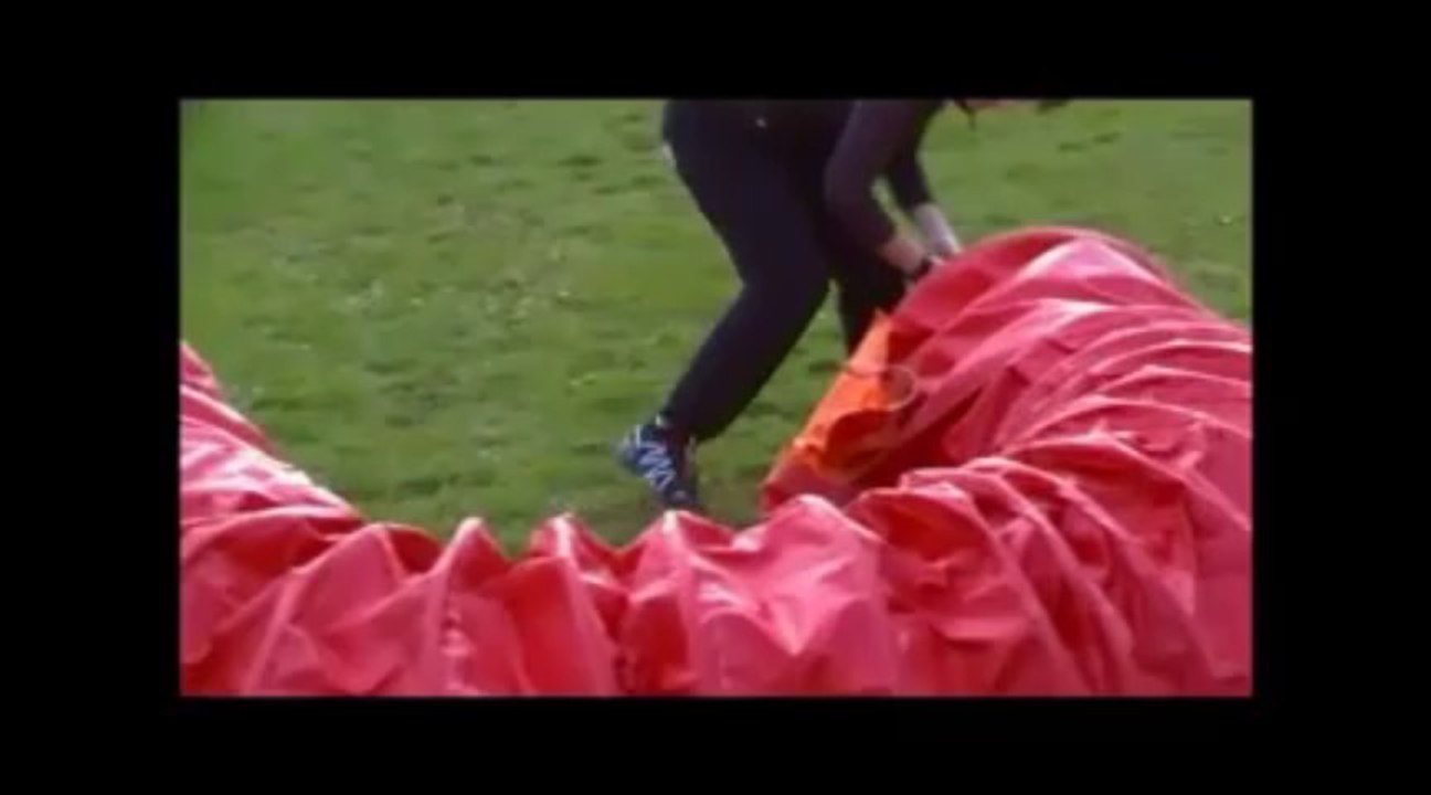 Les équipes de PAM en concours en 2014