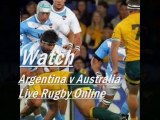 Pumas vs Wallabies Live Rugby Streaming