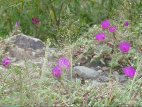 Half Life Logo Creator Tutorial [Counter Strike 1.6]