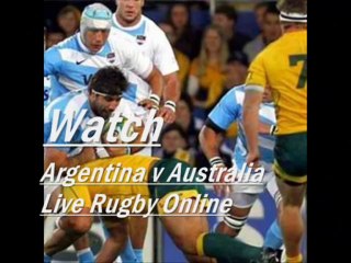 Pumas vs Wallabies Live