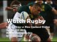 Watch Full Rugby Match South Africa vs New Zealand Live Here