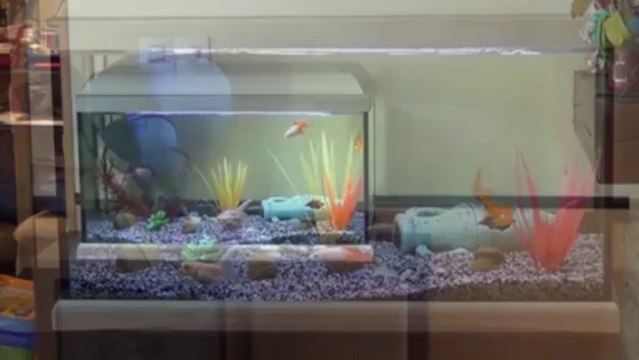 Genlis secteur maison 134m2 - Agence CARREZ immobilier