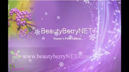 ZA Original Eyelash Curler