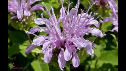 Carolina Herrera 212 Sexy Eau de Parfum Spray