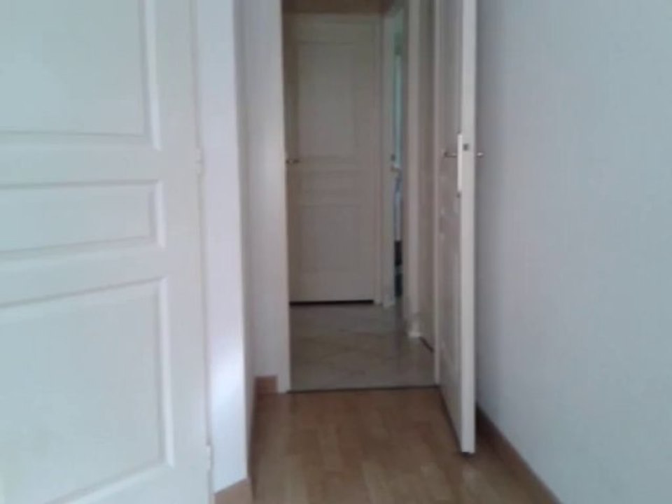 Cache cache avec Caly, ma calopsitte eam