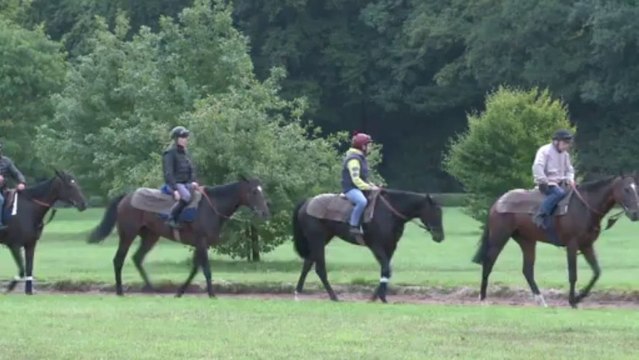 Treve, France's great hope for the Arc de Triomphe