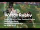 Springboks vs All Blacks Live Rugby Stream