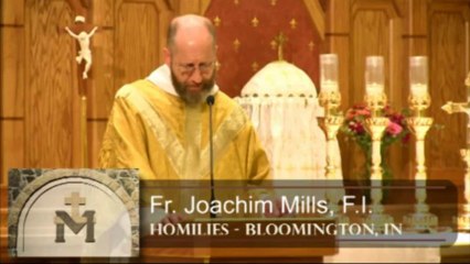 Oct 04 - Homily: Poor Man of the Gospel